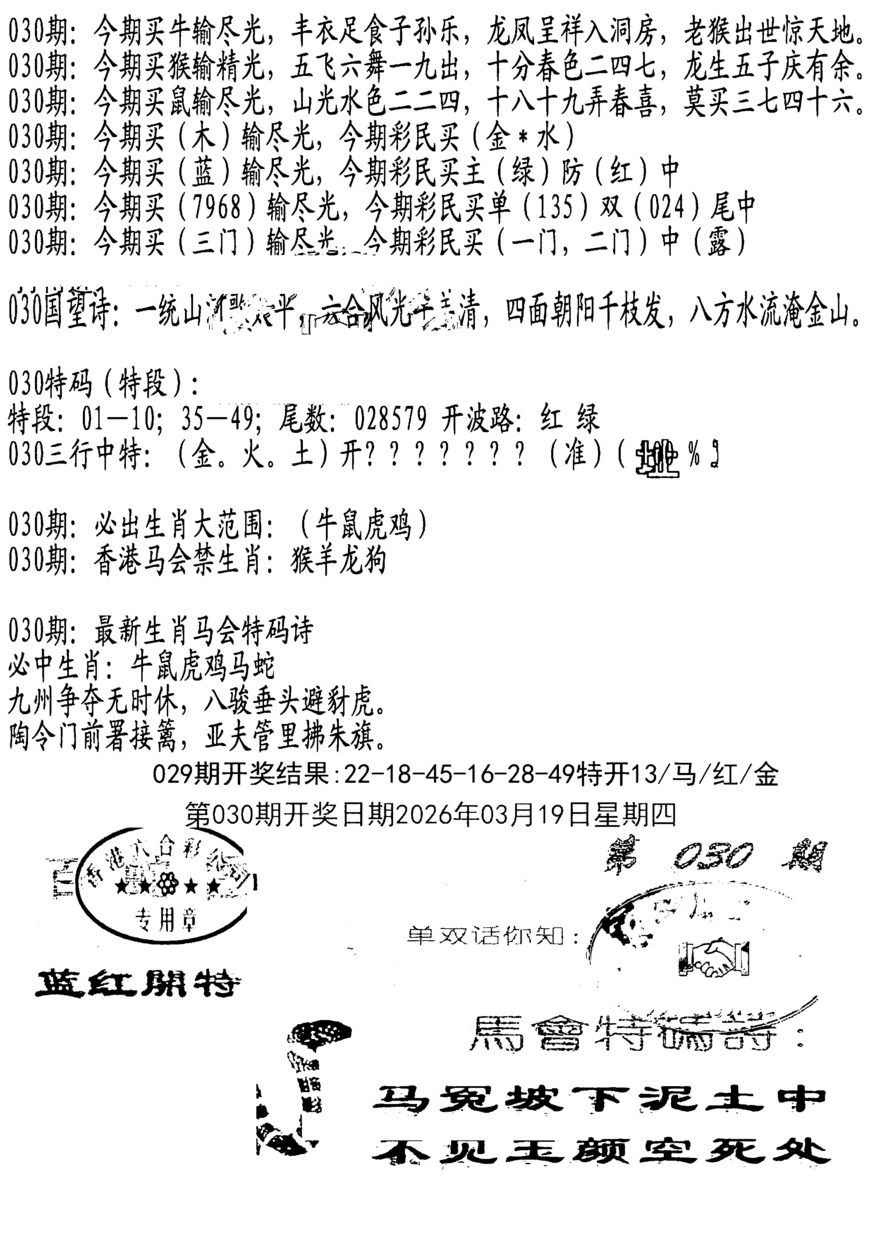 030期蛇报B[图]
